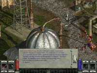 COLDHEAVEN 2020-06-25 15-13-28-28.jpg