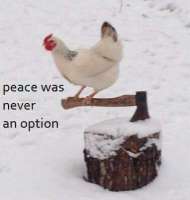 1593410303504.jpg