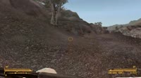Company Bee.webm