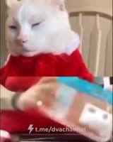 1593506396886.mp4