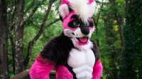 httpscdn.cnn.comcnnnextdamassets181007184119-furry-costume-[...].jpg