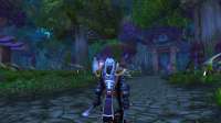 WoWScrnShot070620041136.jpg