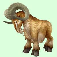 ram2brown.jpg