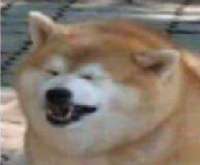 14.png
