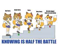 Furrychart.jpg