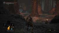DarkSoulsIII 2020-07-19 22-25-48.jpg