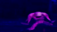 15816152468160.mp4