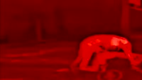 15951490793110.mp4
