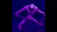 15793700487910.mp4
