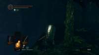 Dark Souls Remastered Screenshot 2020.07.31 - 13.12.50.17.png
