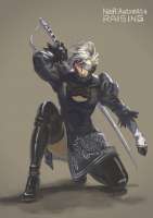 raiden2b.jpg