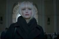 red-sparrow-1.jpg