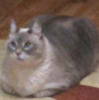 15753825322840.png