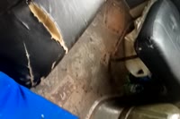 1596630059981.mp4