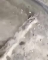 15966538711830.mp4