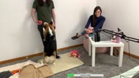 AT-cm808779547.mp4