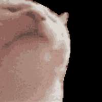 catjam1.gif