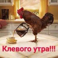 9HZGfRwyETg[1].jpg