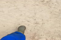 1597151629155.mp4