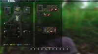 .webm