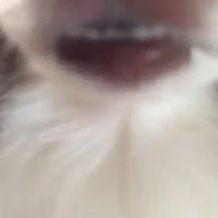 15869922634310.mp4