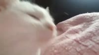 b7eee90038a9.480.mp4