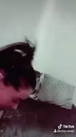 1597782954073.mp4