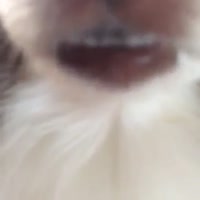 15869922634310.mp4