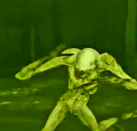 15961236669690.mp4