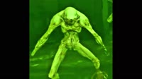 мейби бейби.mp4