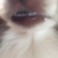 15983959302370[1].webm