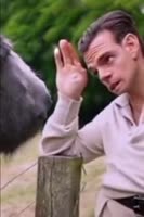 VID20200826181604969.mp4