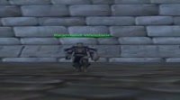 #9r~dWe.mp4