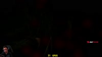 .mp4