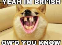 двач одобренное.jpg