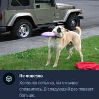 15840323828243.png