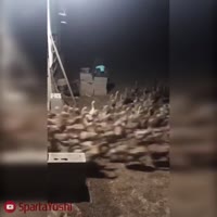 16017071601760.mp4