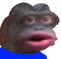 1573162682773.png