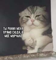 K-uVSIT0nMk.jpg