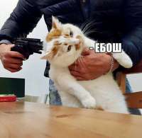 B19C5EB6-F82B-44DB-AC23-BE0C0CCE42A5.jpeg