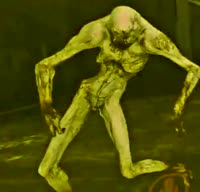 tectonic.mp4