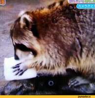 1596633778196794521.gif