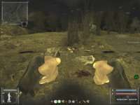 ss10-14-2018-25-33(l02garbage).jpg