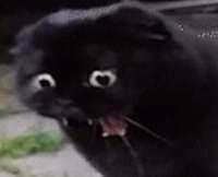 15917102650760.png