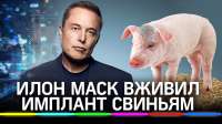 изображение.png