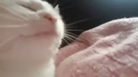 16032019797900.mp4