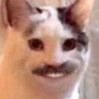 HI8Nng35.jpg