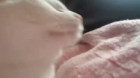 16032966124340.mp4