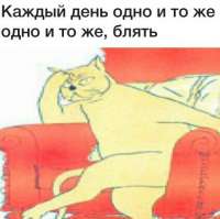 15959091403280.jpg