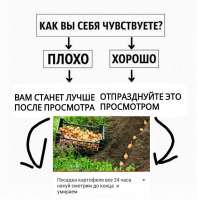 14988279849250.jpg